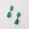 Karen Kane Accessories Turquoise Drop Earrings