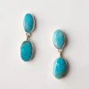Karen Kane Turquoise Drop Earrings Accessories