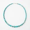 Karen Kane Accessories Turquoise Stone Necklace