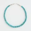 Karen Kane Turquoise Stone Necklace
